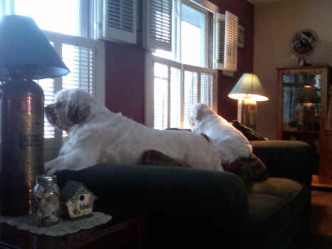 1910 326.jpg (251371 bytes)