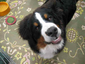 6808 009.jpg (2314827 bytes)