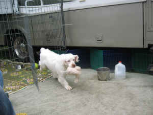 6808 030.jpg (2412165 bytes)