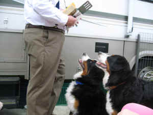 6808 034.jpg (685905 bytes)