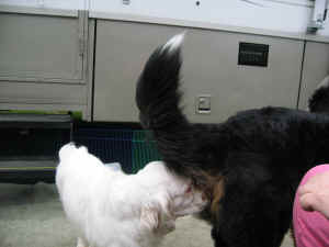 6808 045.jpg (762425 bytes)