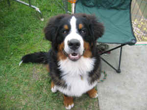 6808 052.jpg (2688830 bytes)