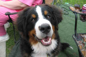 6808 054.jpg (643251 bytes)