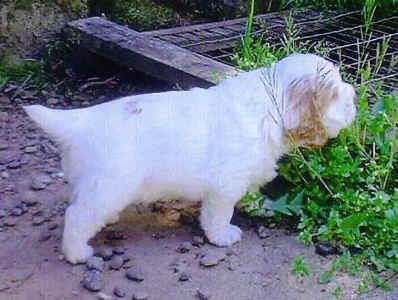 Image037n.jpg (276873 bytes)