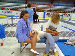 al 228 (2).jpg (296728 bytes)