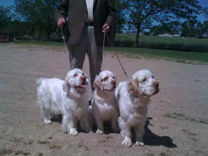 al 231.jpg (675232 bytes)