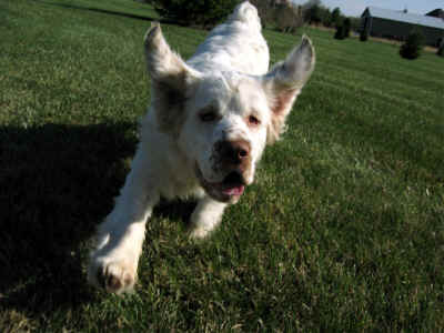 chi5708 035.jpg (1025987 bytes)