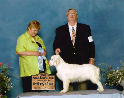 featherImage001.jpg (101754 bytes)