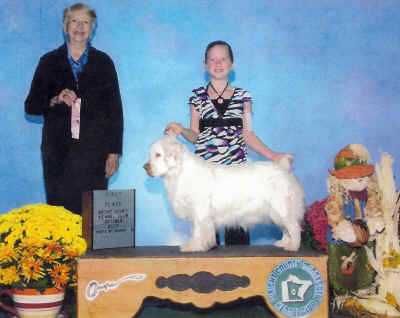 feathera1st.jpg (737559 bytes)