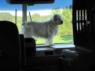 feathergch.JPG (749724 bytes)