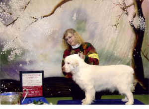 featherintlscan0002j.jpg (298920 bytes)