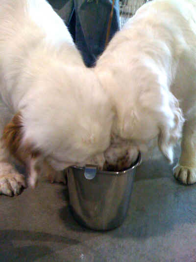 featherntilly.jpg (471913 bytes)