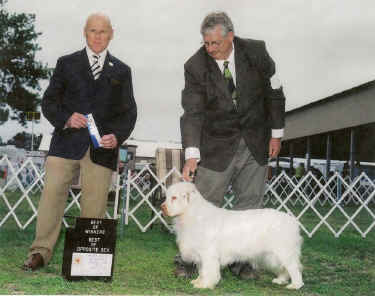 featherscan0001bivev2.jpg (136386 bytes)