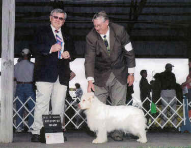 featherscan0004l.jpg (516822 bytes)