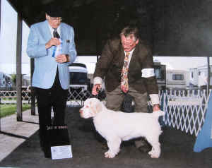 gulliver1stshow.JPG (931519 bytes)