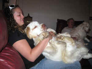 gulliver2.JPG (1008722 bytes)