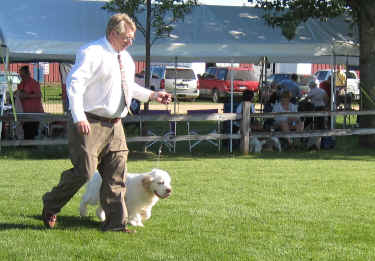 gulliverchampp.jpg (1316508 bytes)