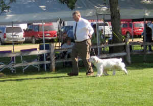 gulliverd.jpg (167233 bytes)