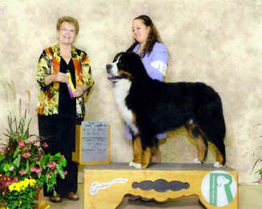 gullivergch.jpg (398403 bytes)