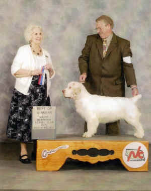 gullivermajorom.jpg (264115 bytes)