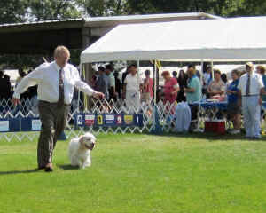 gullyndad8.jpg (163689 bytes)