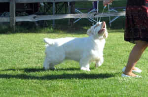 hinsa098.jpg (231009 bytes)