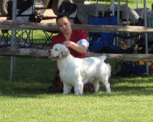 hinsa4ro.jpg (172217 bytes)