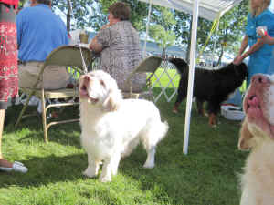 hinsa9.jpg (3153175 bytes)