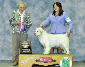 hinsapoints.jpg (751753 bytes)