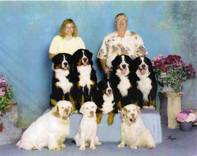 scan0003.jpg (692266 bytes)