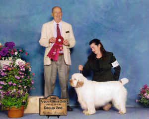 scan0006.jpg (501082 bytes)