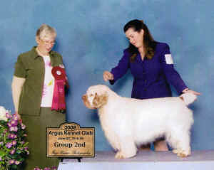 scan0008.jpg (459384 bytes)