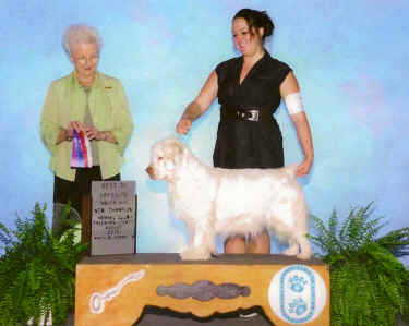 sfeatherchpiccan0001b.jpg (413865 bytes)