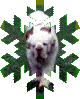 snowtimber.gif (630584 bytes)