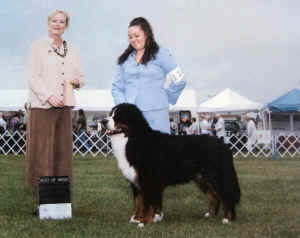 xanderbbcambridge10.JPG (688219 bytes)