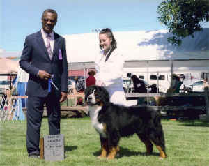 xanderwd09a.jpg (108615 bytes)