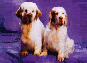 Image003imp.jpg (350061 bytes)