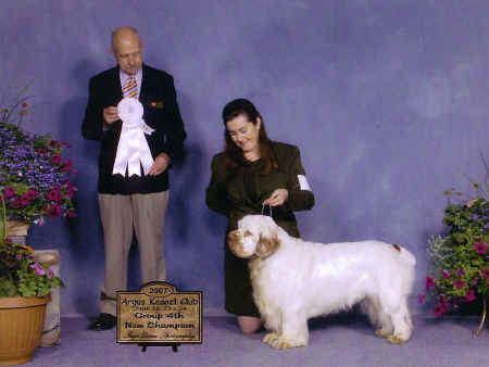 Image006.jpg (105448 bytes)