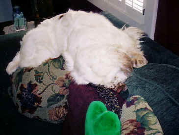 Image030.jpg (45494 bytes)