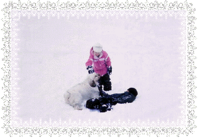 Image032s.gif (91473 bytes)