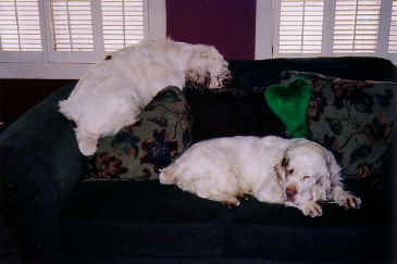 Image034.jpg (46157 bytes)