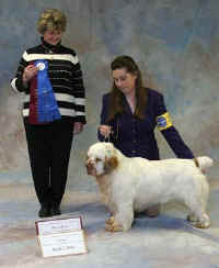 chequamegon_ridge_runner1.jpg (19090 bytes)