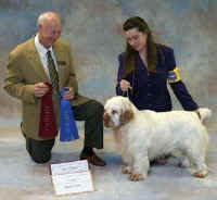 chequamegon_ridge_runner2.jpg (16262 bytes)