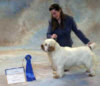 chequamegon_ridge_runner4.jpg (14612 bytes)