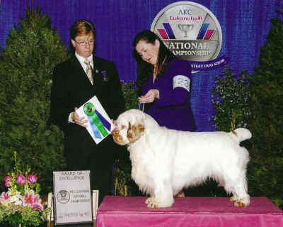 scan0004lk.jpg (333040 bytes)