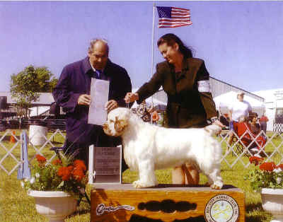 timImage003.jpg (169017 bytes)