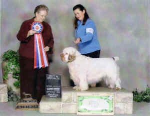 timberbisccsc.jpg (170574 bytes)