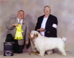 timbercanada.JPG (128290 bytes)