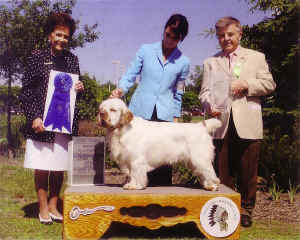 timberchampionship.JPG (194937 bytes)