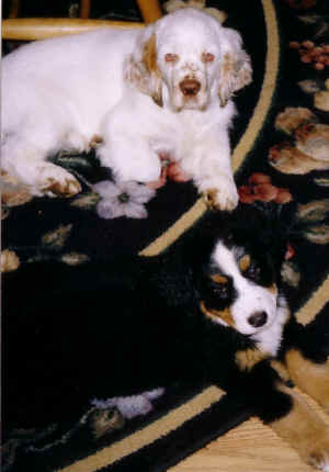 timberpupuberner.jpg (199893 bytes)